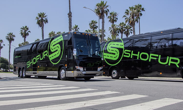 Two Shofur charter buses drive on a palm tree-lined street