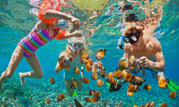a family going snorkeling with fish 