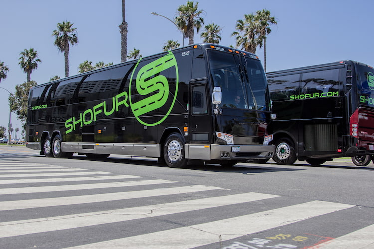 two black charter buses with green 